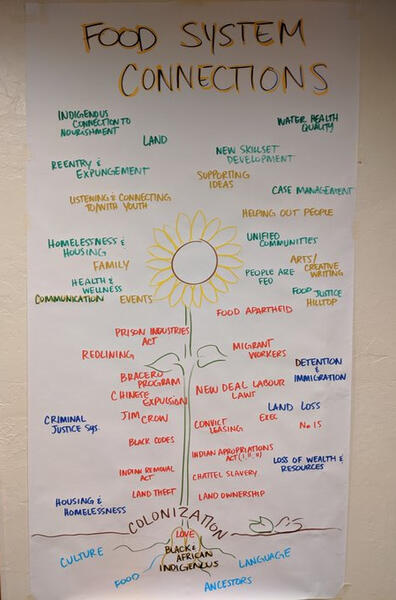 Food System Connections